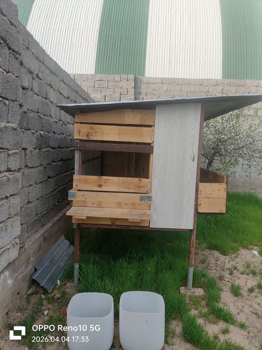 Тпчан қора, Қошқар бордақылайтын.