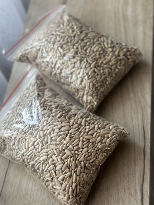 продам семечки подсолнечника