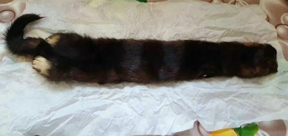 Шапка из песца и соболя. И шкурки соболя.