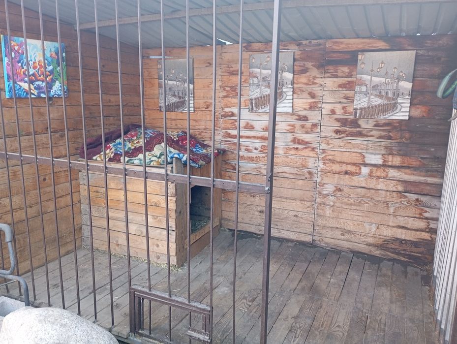 Продам вольер  для собаки
