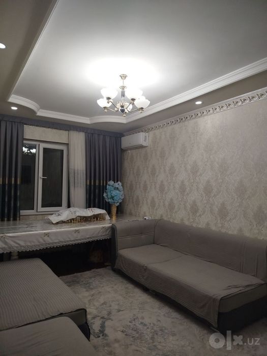 Алка тинчли
Алока куча чигатой