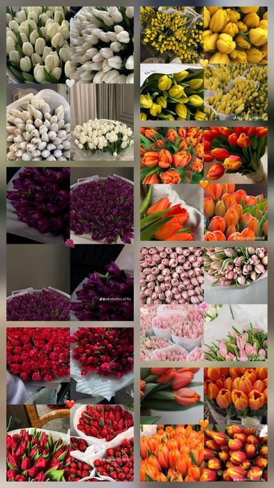 «Тюльпандар сатылымда  Тапсырыс қабылдаймыз.»