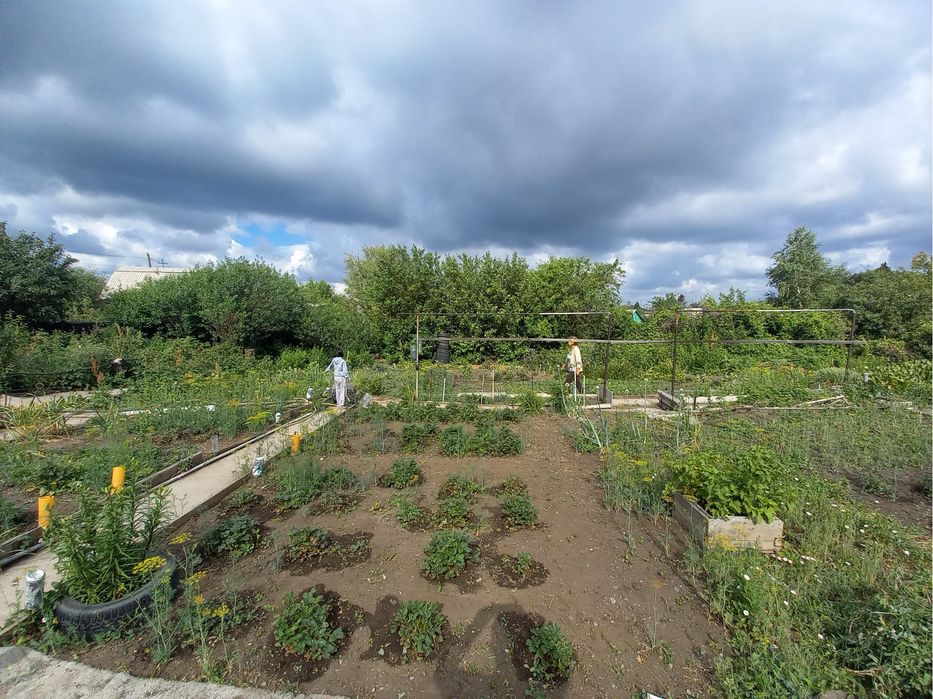 Продам дачу п. Кожохово