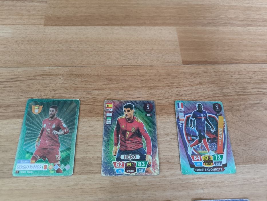 Пакемон кеткалари