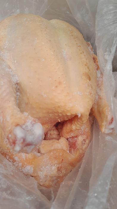 Продам мясо домашнего бройлера