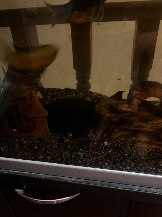 Аквариум 220 литров с тумбой