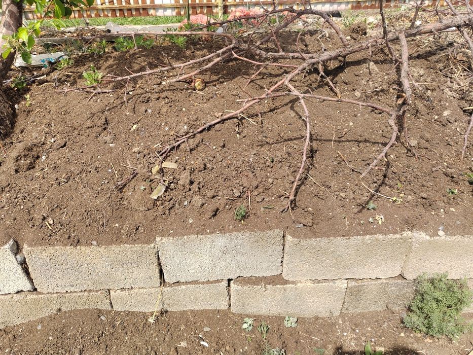 Биогумус 60 тенге