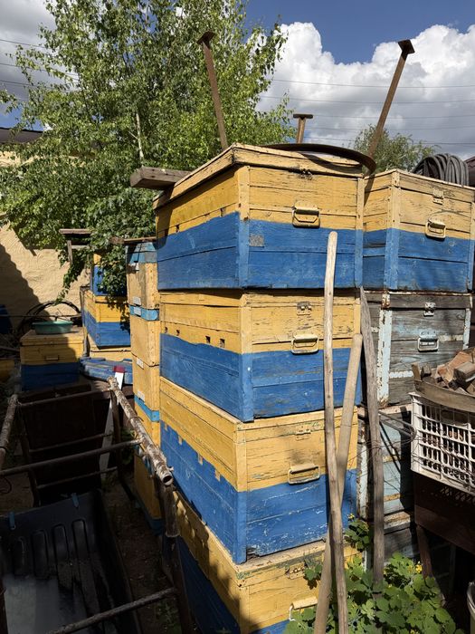 Продам деревянные улья для пчел б/у ( лежаки)