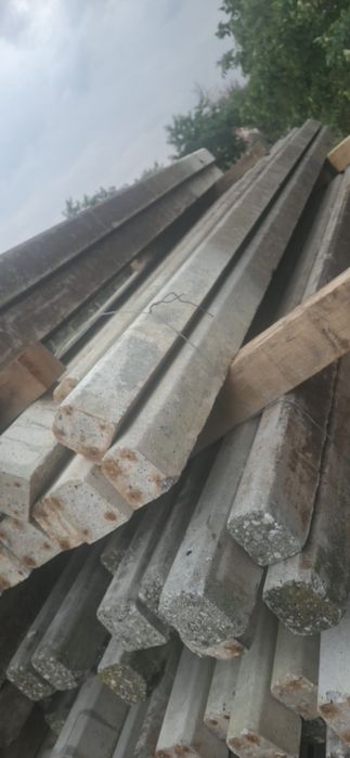 Stâlpi, spalieri 3 m
