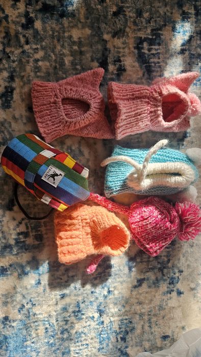 Одежда для собак