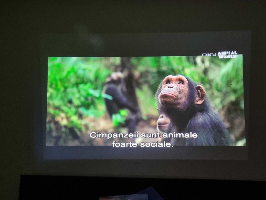 Videoprjiector Emachine700 3D HD pentru Terasă