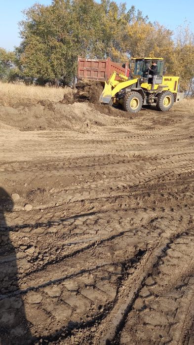 Чернозем горный.