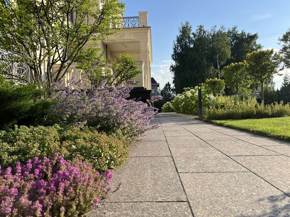 Озеленение | газон | автополив