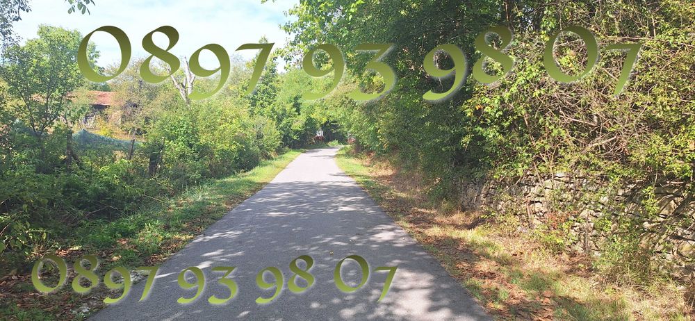 Продава се Парцел в с. Ялово, Област Велико Търново - 2115 кв.м за 14 €/кв.м - Снимка #1