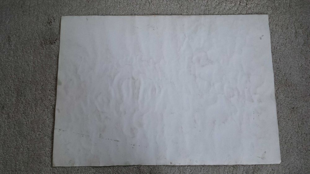 Картина "ЕДНОРОГ" (Акварел) /Георги Донов