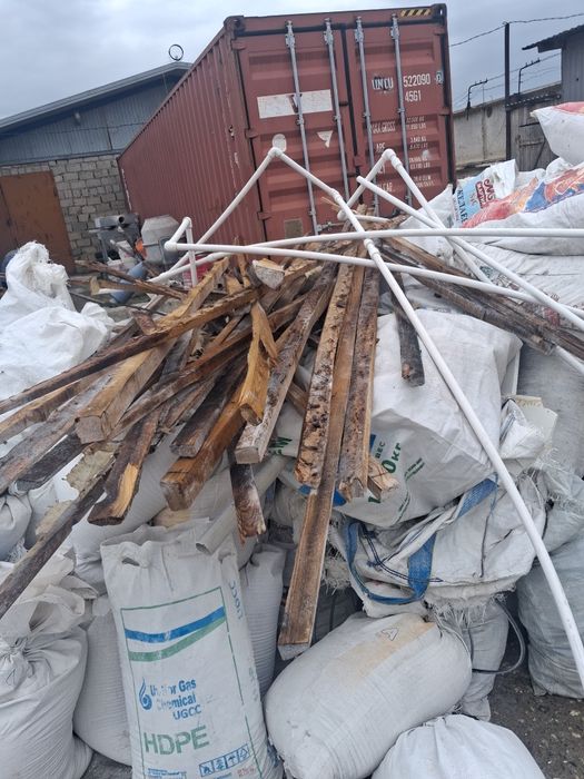 Отдам даром старый лес