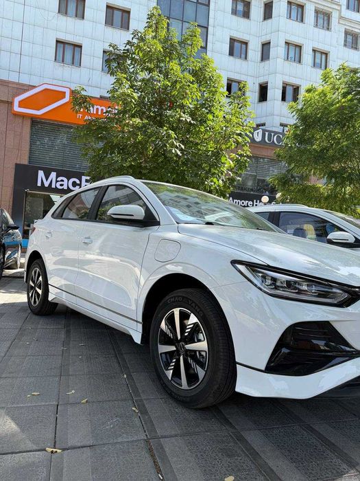 Byd e2 luxury 2025
