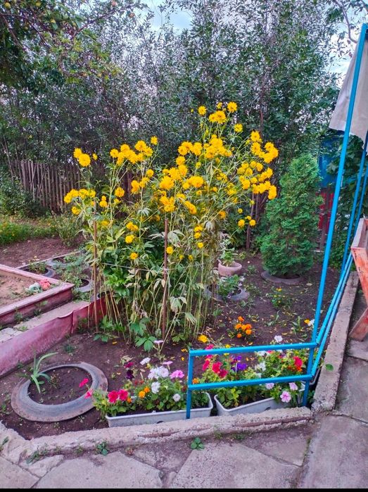 Продаю дачу в обществе "Мичуринец"