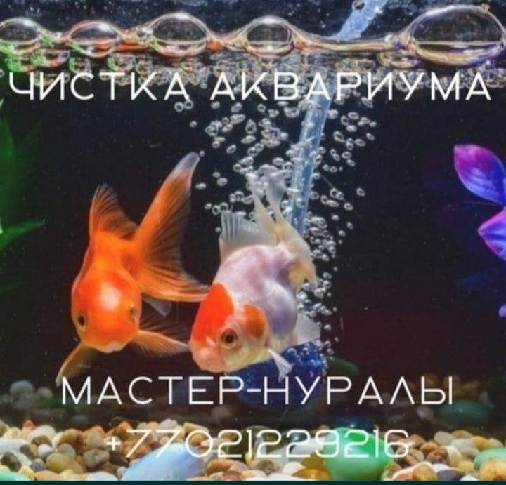 Чистка аквариума