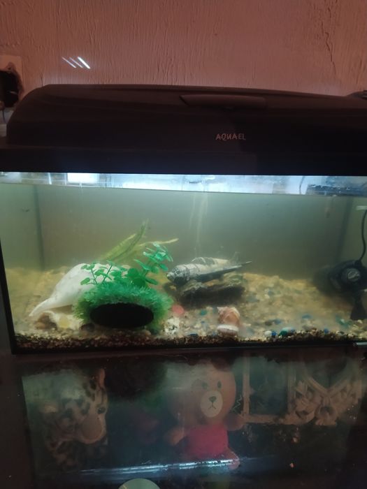 Срочно продам аквариум на 50литров