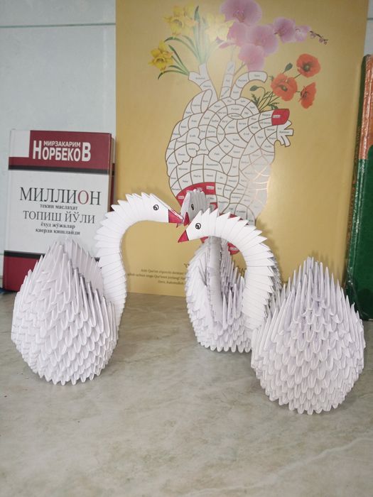Oqqushlar sotiladi