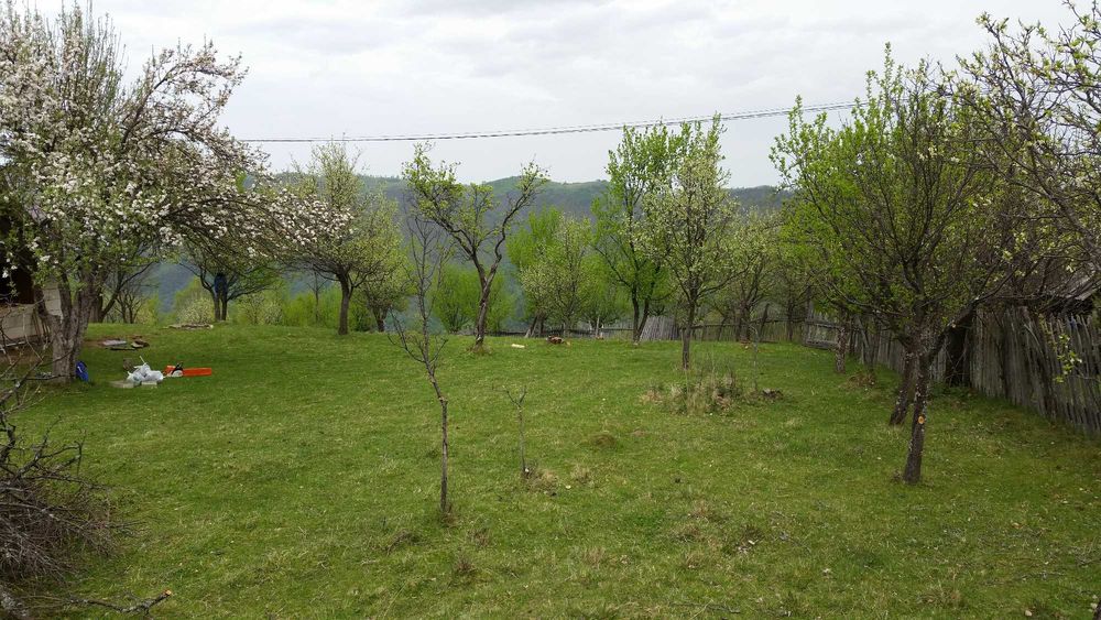 Teren intravilan pe Valea Sebesului, Sugag-Dobra, Sat-Musetoaia