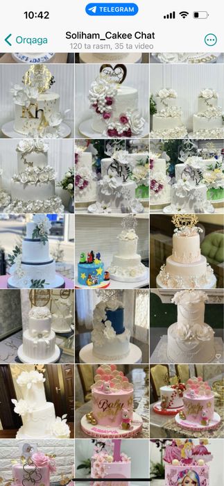 Men mushuk haqida orzu qilardim.