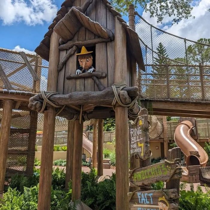 Park akvopark zoopark dekoratsiya plyaj restoran