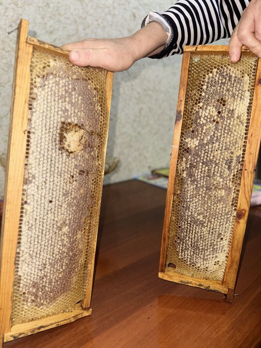 Asal Propolis Ramka | Рамка Мёда Прополис