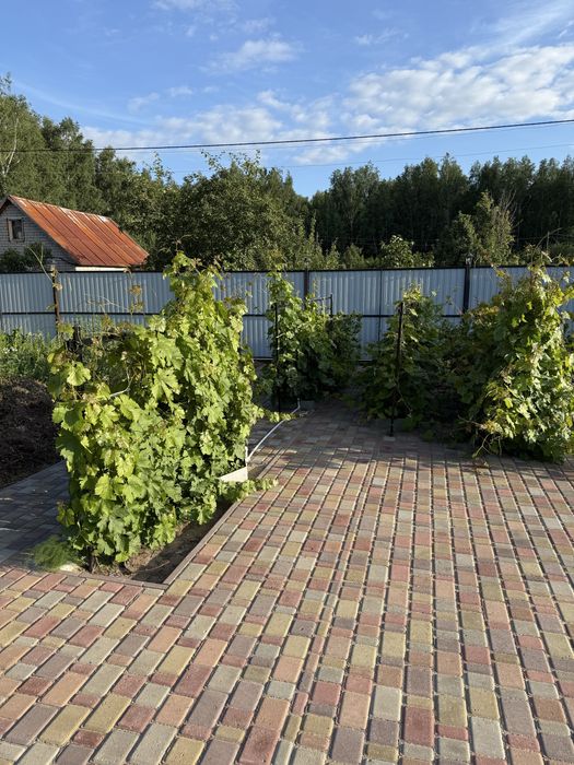 Продам дачу в СТ Веснянка