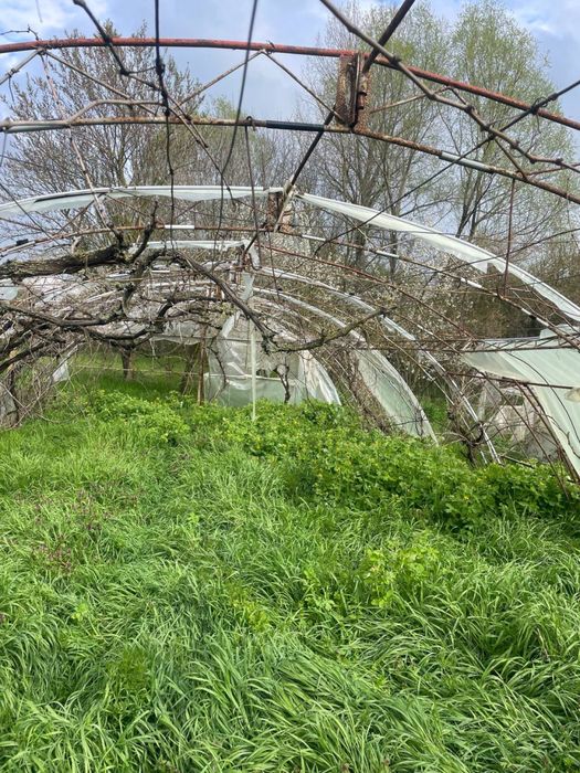 Оранжерия метална разглобена