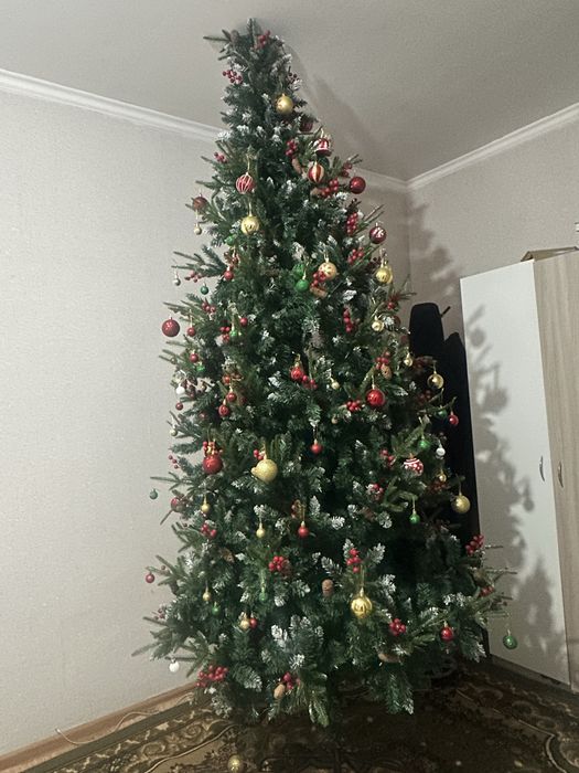 Жаңа жылдық шырша (ёлка)