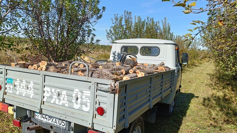 дрова яблони резанные