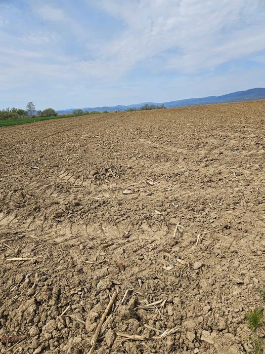 Vanzare teren agricol extravilan