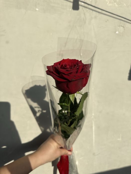 Роза красная есть 3 букетика