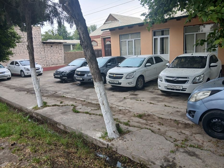 Other Cobalt 2023 — 4