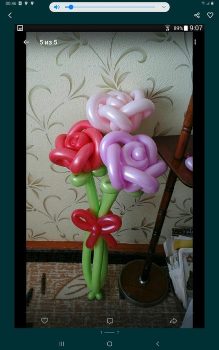 Хавортия ладьевидная