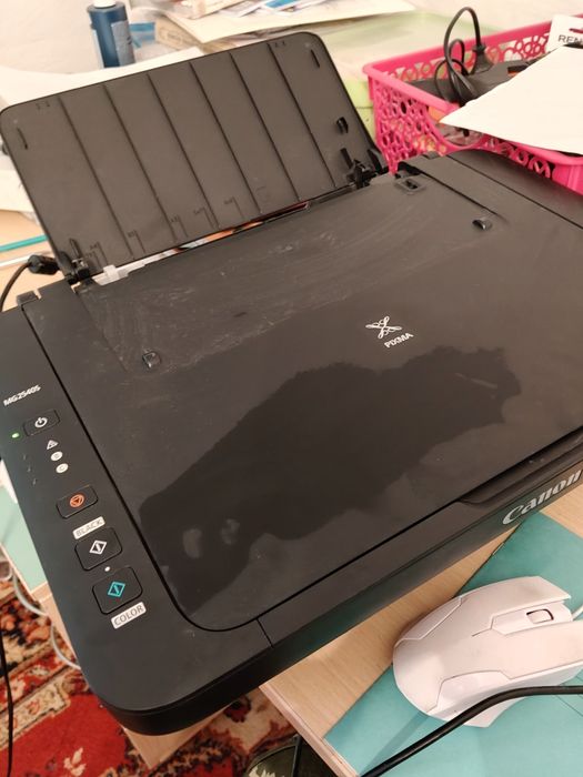 Принтер Canon MG2500