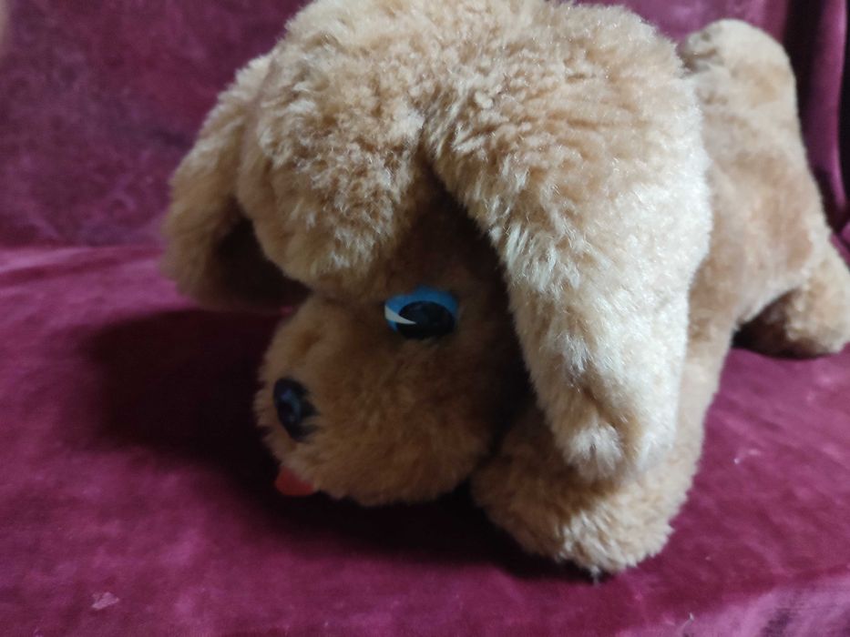 Catel din plus, culoare maro, SH dar stare buna.