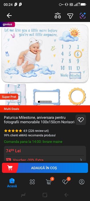 Pătură aniversara milestone  bebe / pătură pentru poze bebe