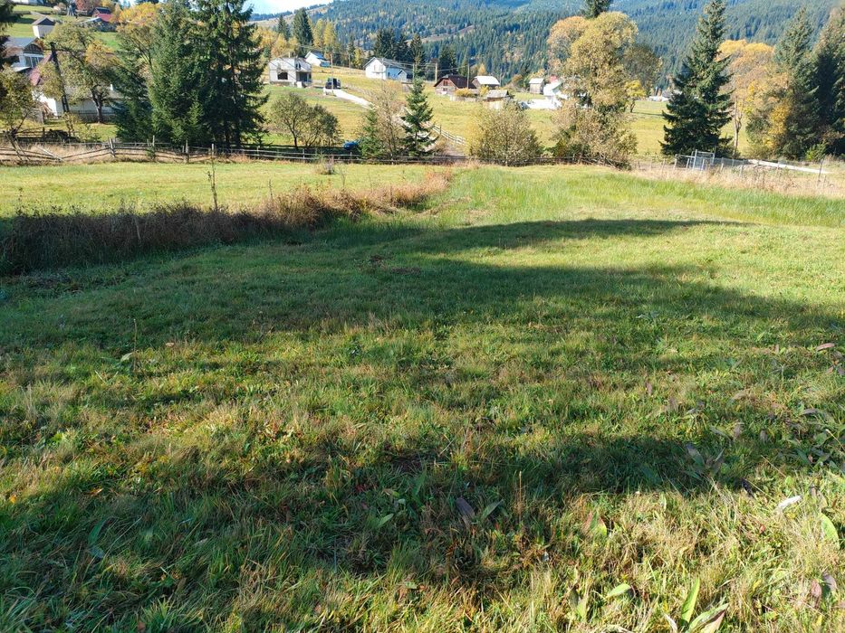 Teren de vanzare Saru Dornei