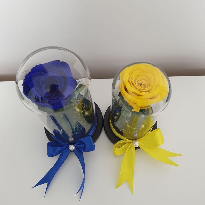 Trandafir criogenat conservat in cupola de sticla