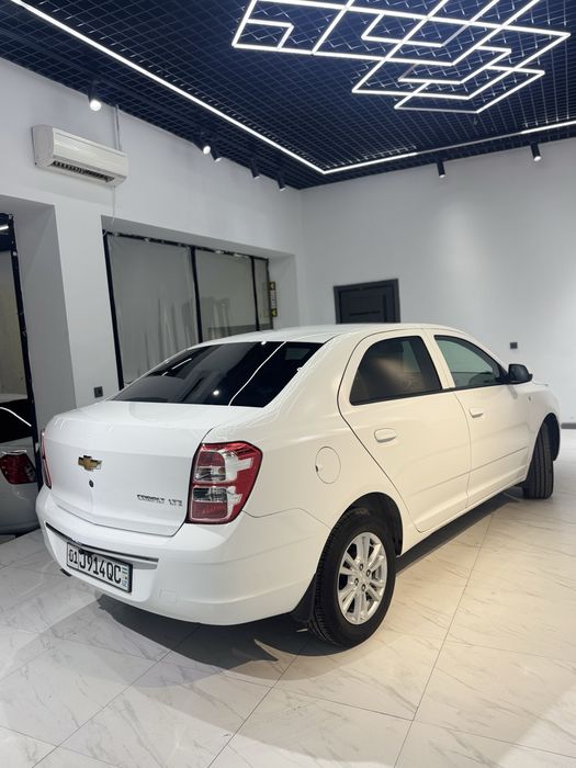 Kobalat 2024 Yil Oq Rang Kraska Top Toza