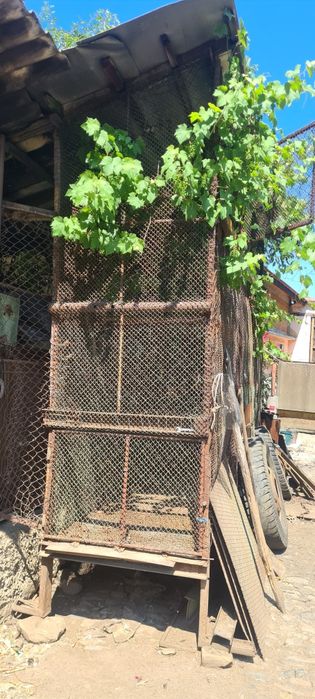 Cosar pentru porumb are cinci metri lungime  1 m lățime 4 m înălțime