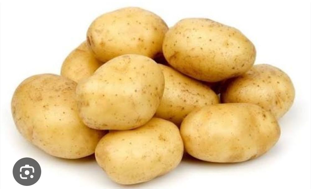 Кортошка семенная
