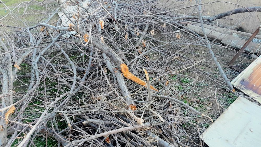 Utin sotiladi NONVOYLAR va Kafelar uchun