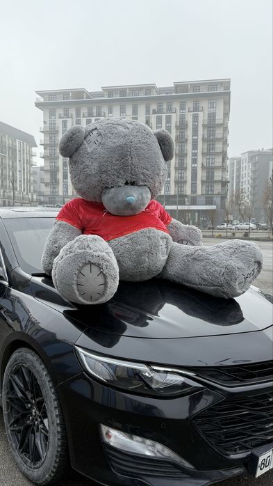 1 метрлик куёнча