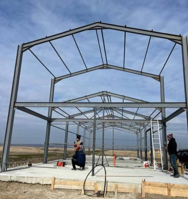 Vaand hala 10x15x4h invelita cu panou