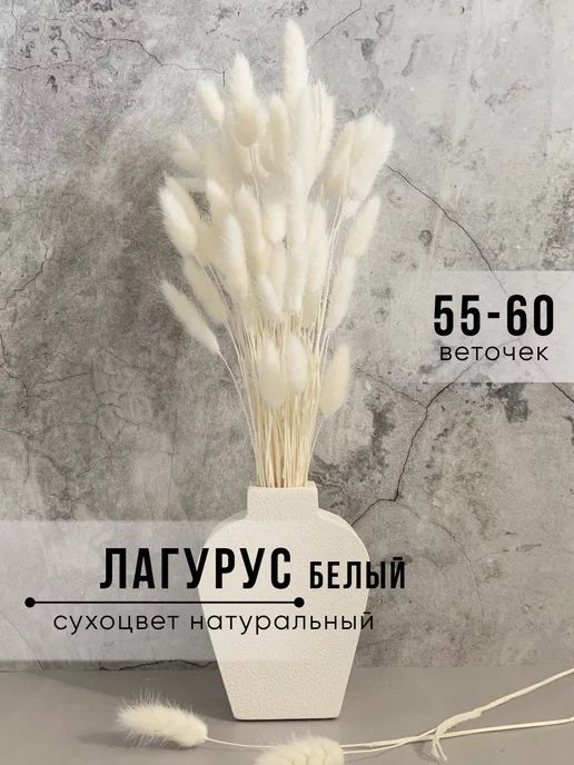 Сухоцветы Лагурус заячий хвост