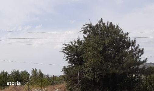 Teren 16000 mp cu deschidere la sosea